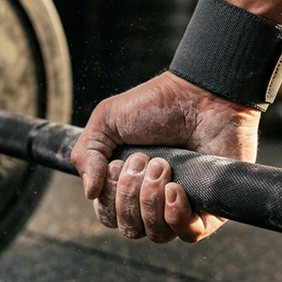 Muscle & Recovery